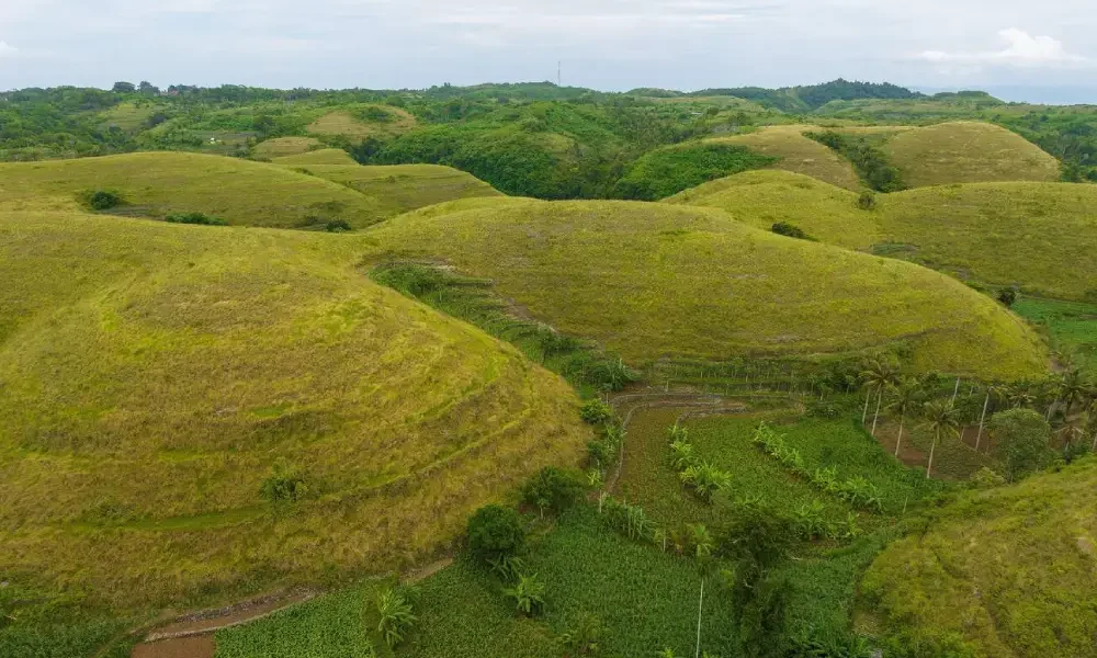 Teletubbies Hill
