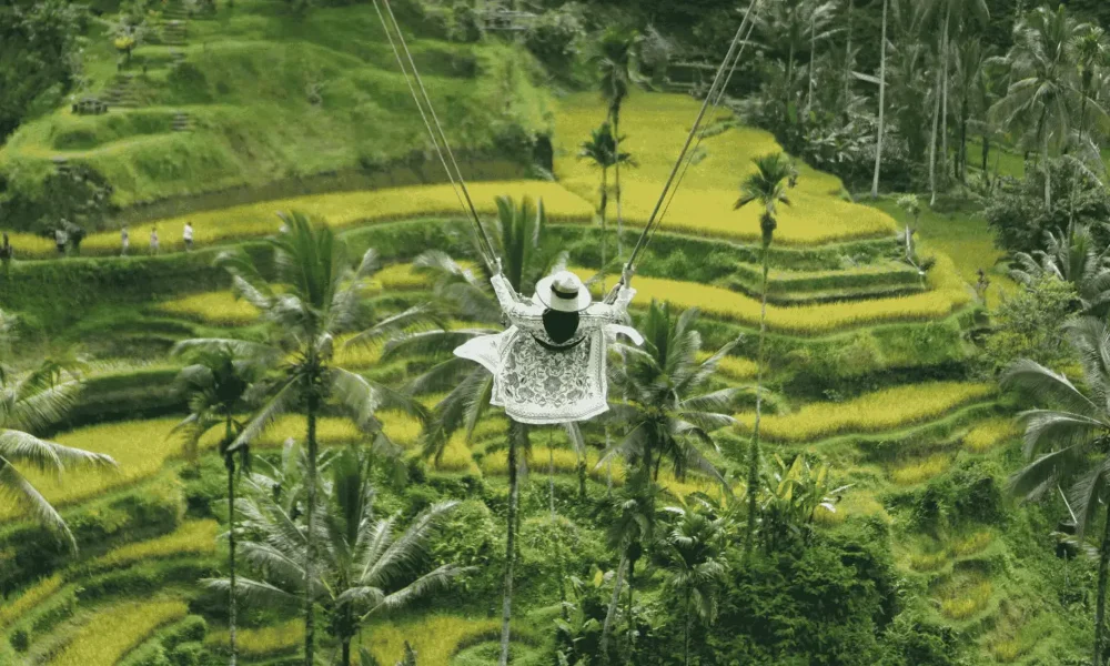 Bali swing